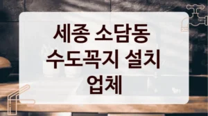 세종 소담동 
수도꼭지 설치 업체