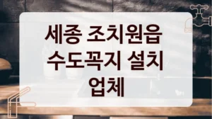 세종 조치원읍 
수도꼭지 설치 업체