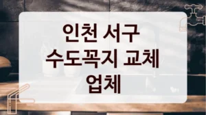 인천 서구 
수도꼭지 교체 업체