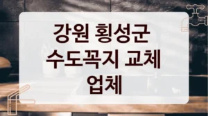 강원 횡성군 
수도꼭지 교체 업체