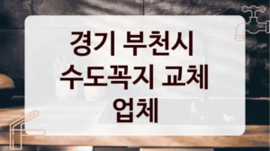 경기 부천시 
수도꼭지 교체 업체