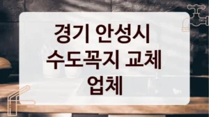 경기 안성시 
수도꼭지 교체 업체