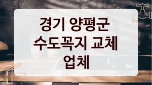 경기 양평군 
수도꼭지 교체 업체