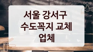 서울 강서구 
수도꼭지 교체 업체