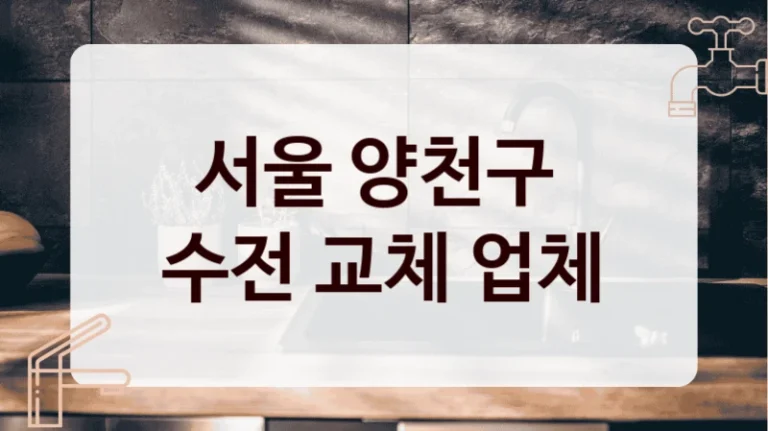 서울 양천구 
수전 교체 업체