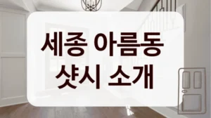 세종 아름동 
샷시 소개